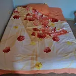 Къща за гости созополска къща димитрови