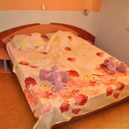 House Dimitrovi בית הארחה