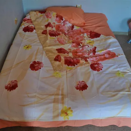 בית הארחה House Dimitrovi