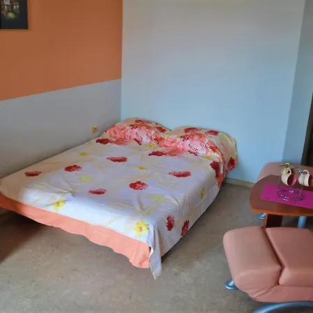 בית הארחה House Dimitrovi 3*