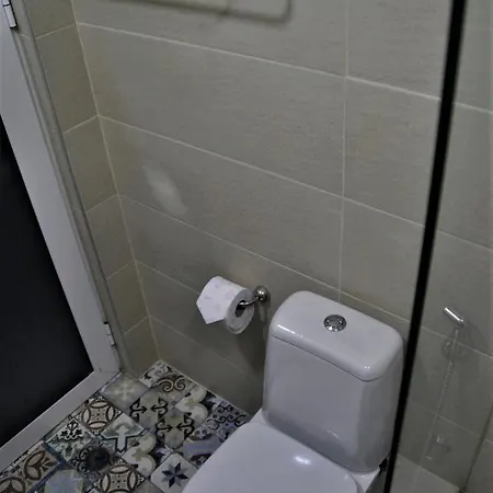בית הארחה House Dimitrovi